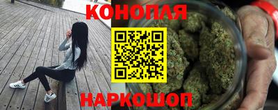 гашик Нарткала